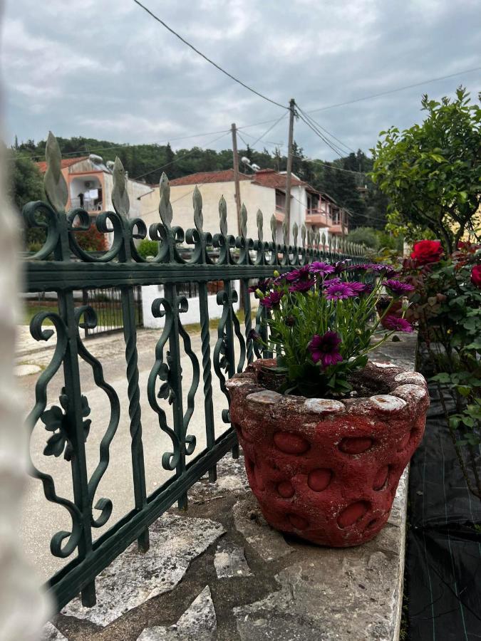 Dionysus Apartments & Studios Сивота Экстерьер фото