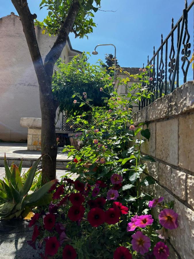 Dionysus Apartments & Studios Сивота Экстерьер фото